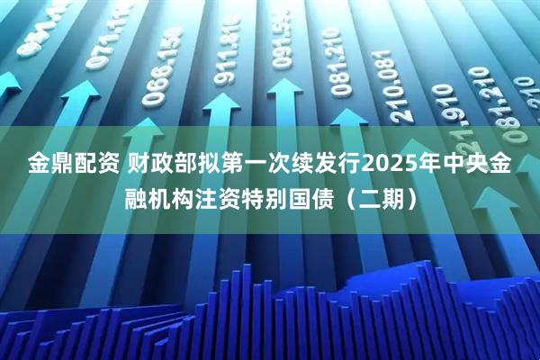 金鼎配资 财政部拟第一次续发行2025年中央金融机构注资特别国债（二期）