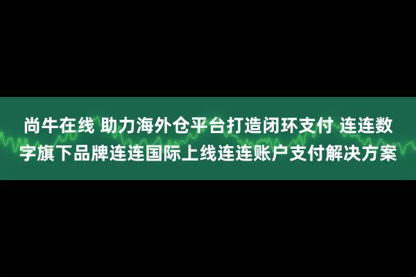尚牛在线 助力海外仓平台打造闭环支付 连连数字旗下品牌连连国际上线连连账户支付解决方案