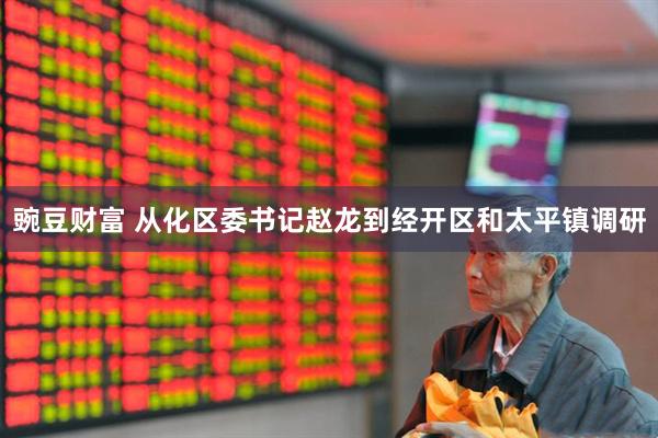 豌豆财富 从化区委书记赵龙到经开区和太平镇调研