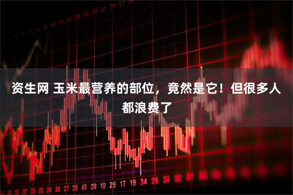 资生网 玉米最营养的部位，竟然是它！但很多人都浪费了