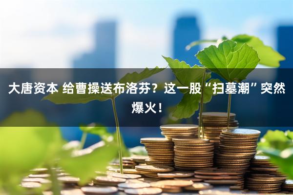 大唐资本 给曹操送布洛芬？这一股“扫墓潮”突然爆火！