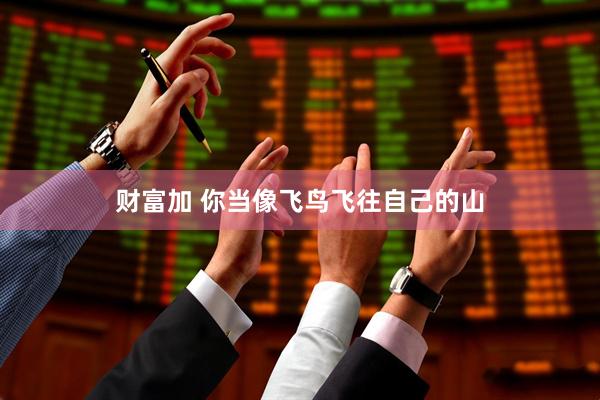 财富加 你当像飞鸟飞往自己的山
