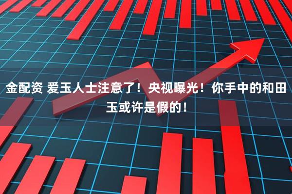 金配资 爱玉人士注意了！央视曝光！你手中的和田玉或许是假的！