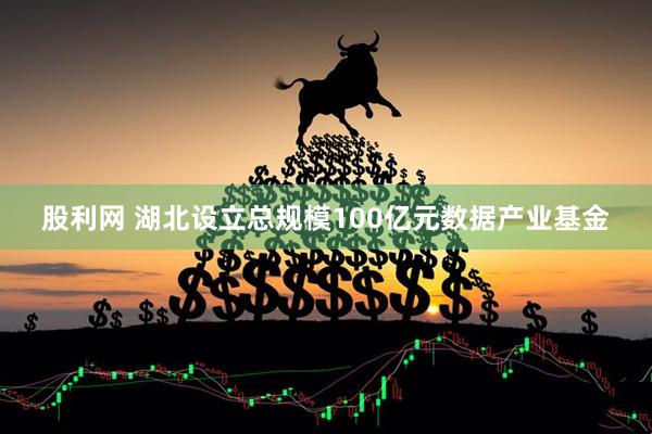 股利网 湖北设立总规模100亿元数据产业基金