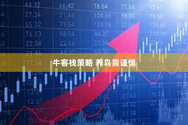 牛客栈策略 养鸟需谨慎