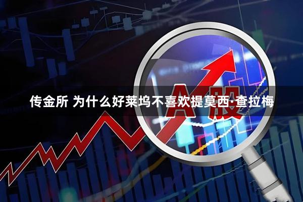 传金所 为什么好莱坞不喜欢提莫西·查拉梅